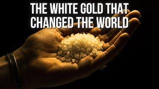 The Incredible Story of Salt: The White Gold!