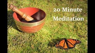 Mind Opening Meditation Music - With Nature Sounds - 20 min