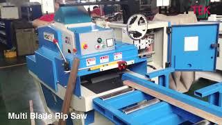 Multi Blade Rip Saw HOLYTEK