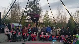 Jessica Marsh / Aerial Pole Performance