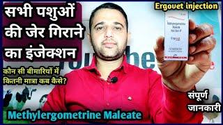 Ergovet injection||Methylergometrine Maleate Injection use in All Animals||Konsi Disease mein kab