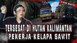 CERITA HOROR PEKERJA SAWIT!!SAAT BERTUGAS DI PULAU KALIMANTAN!!!!