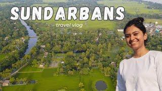 Uncovering the Mysterious Sundarbans: The World's Largest Mangrove Forest!