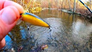 This Tiny Lure is a Fish Catching Machine (wild brown trout)