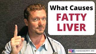 What Causes Fatty Liver? (Not What You Think) 2024