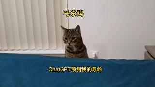 猫咪马杀鸡 ChatGPT says my life could be 20