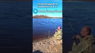 Как же приятно тащить хариуса!) #рыбалка #fishing #рыба #лето #братьяПриходько #спиннинг #хариус