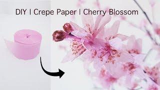 DIY tutorial to make Beautiful Cherry Blossom with Crepe paper