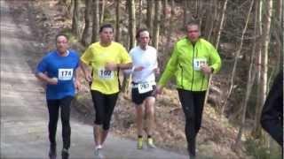 23. Virngrund Waldlauf in Rosenberg 2013