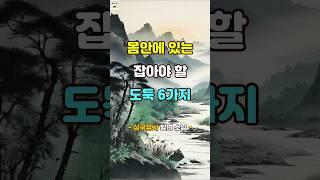 우리 몸 안에 있는 잡아야 할 도둑 6가지 #명언 #자기계발 #인생조언