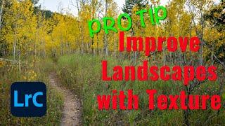 Improve Your Landscape Images with the Texture Slider in Lightroom Classic