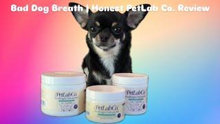 I tried ProBright Dental Powder with 10 dogs | My PetLab Co. Review