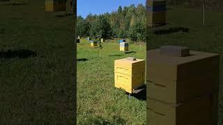 Готовимся к зиме!