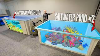 We Bought Our DREAM SALTWATER REEF POND for the Fish Warehouse!