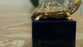 diamond covered turtle  jewelry box