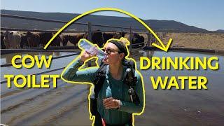 How to Get Drinking Water While Backpacking (Filtering Tips for Pros)