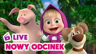  NA ŻYWO  Nowy odcinek  Swędzący problem  Masza i Niedźwiedź  Masha and the Bear