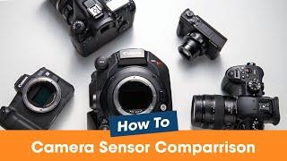 Camera Sensor Size Comparison -Micro Four Thirds to Large Format Explained