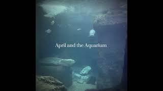 The aquarium #edit #aquarium #nature #ocean