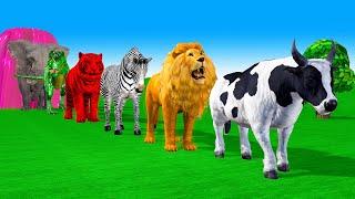 Paint & Animals Cow,Tiger,dinosaur,Lion,Elephant Fountain Crossing Transformation Animal Cartoon