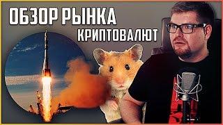 ОБЗОР рынка КРИПТОВАЛЮТ, как ты станешь БИТКОИН миллионером?