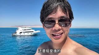 埃及篇 本期内容：（去红海潜水）（单手登上海岛）（出海一天）（海底世界）（埃及潜水消费伙食如何）（红海好蓝）（沙姆沙伊赫的惬意）海边正常穿搭无不良影响 埃及 非洲 旅行推荐官 海外生活