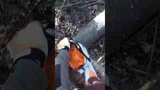 STIHL MS 261 37cm Cannon Schiene