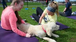 Puppy Pilates at WVU 4/26/18