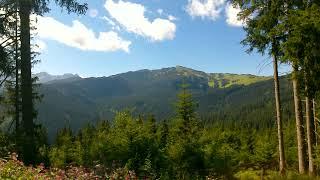 Von der Winklmoosalm zur Wielandseitenalm am Martinsbichl I Chiemgau I Salzburger Land