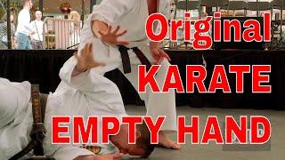 SECRETS BEHIND KARATE : EMPTY HAND Techniques Shuri Te
