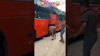  AC बस                  #ambika_dj_novi #marwadi #rajasthani #comedy #marwadicomedy #meme #funny
