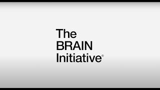 NIH BRAIN Initiative at OHSU