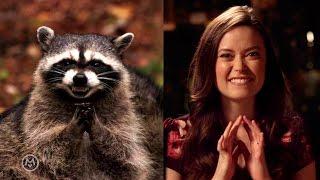 Summer Glau Imitates Popular Animal Memes - Speakeasy