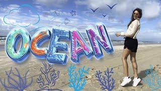 Ocean Odyssey: A Coastal Vlog Journey