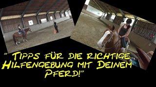 Tipps für die richtige Hilfengebung mit Deinem Pferd!