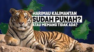 Harimau Kalimantan Punah atau Tidak Ada Ternyata Ini Alasan di Kalimantan Tidak ada Harimau