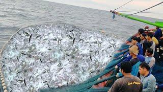Bikin Kagum!! Begini Cara Menangkap Ikan Di Tengah Laut Nelayan Tradisional Rembang - Cupliz Ahmad