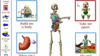 My Amazing Human Body (North American Version)