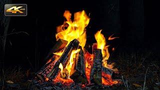 Night Magic CampfireAuthentic Crackling of Fire to Deep Sleep