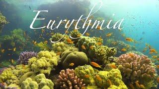 EURYTHMIA