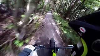 Fat bike downhill freeride NZ