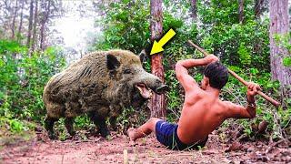 Wild Boar Encounters Caught on Video: Shocking Moments!