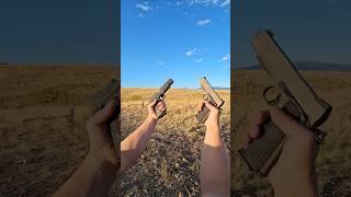 Sig Sauer 1911 .45 acp dual wielding