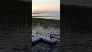 Lake Sig(Озеро Сиг) #djiminise #fishing #sig #сиг