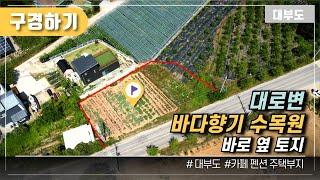 (구경하기 No.1105) 대로변 수목원 바로 옆 토지 / 대부도부동산