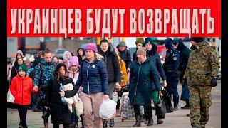 Наконец-то власть придумала как возвратить всех украинцев домой