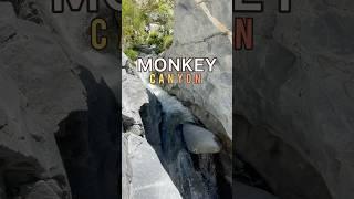 SWING On Over to Monkey Falls #hiking #adventure #waterfall #adrenaline