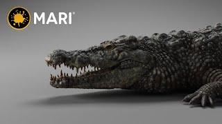Crocodile Texture and Lookdev Turntable | Closeup - Tutorial available NOW