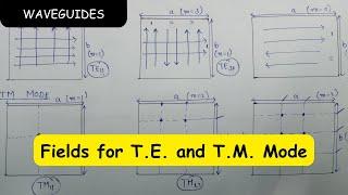 Fields for T.E.  and T.M.  Mode | Field Visualization