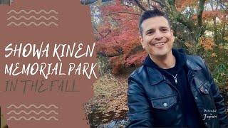 Showa Kinen Memorial Park - In The Fall Season